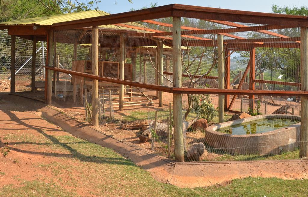 eBundu Lodge White River Exterior foto